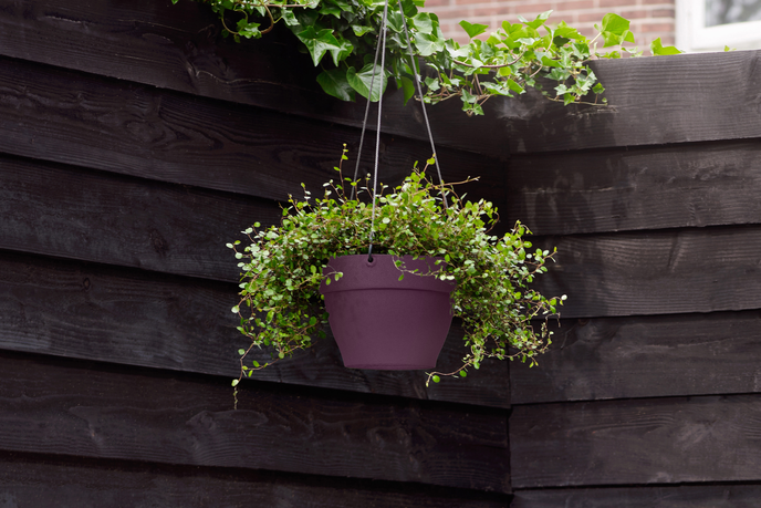 vibia campana hanging basket 26cm maple purple